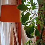 Kunterbunt Provincia di Istanbul