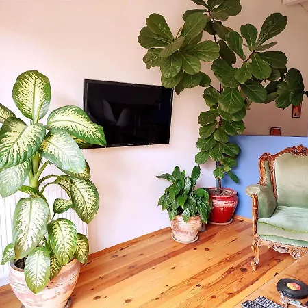 Apartment Kunterbunt *