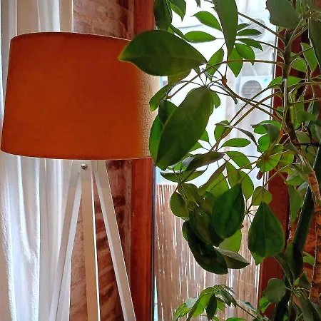 Kunterbunt Istanbulská provincie