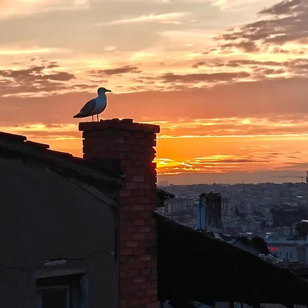 Kunterbunt Διαμέρισμα