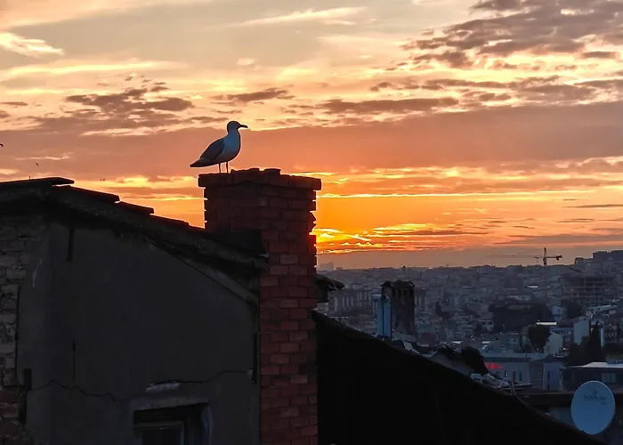 Kunterbunt Appartement