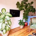 Апартаменты Kunterbunt *